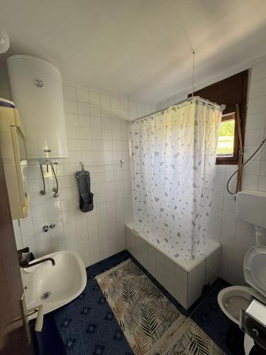 a bathroom with a shower and a tub and a sink at Vila Trtović in Nova Varoš