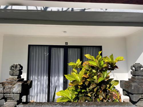 Vườn quanh Orange Guest House