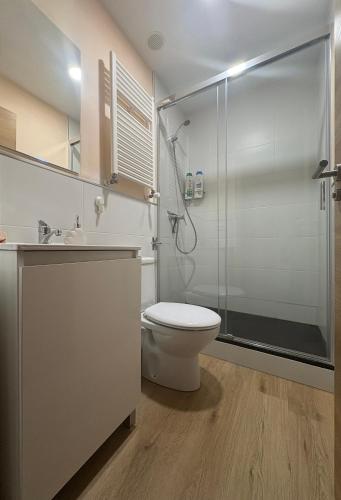 a bathroom with a toilet and a shower at Casa-Museo Genia Trigo in Sober