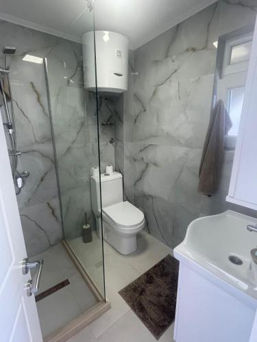 a bathroom with a toilet and a shower and a sink at Villa Mirijana in Zlatna Obala