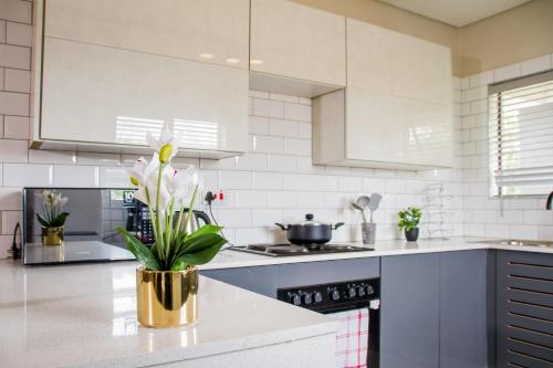 Η κουζίνα ή μικρή κουζίνα στο Ndlovu Villa Apartments