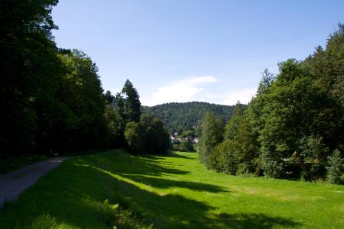 a green field with trees and a road at Ferienhaus Marina in Baden-Baden