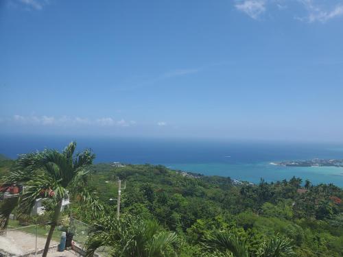 a view of the ocean from a hill with palm trees at BAYVIEW LUXURY RETREATS st Jame in Montego Bay