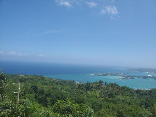 a view of a body of water from a mountain at BAYVIEW LUXURY RETREATS st Jame in Montego Bay