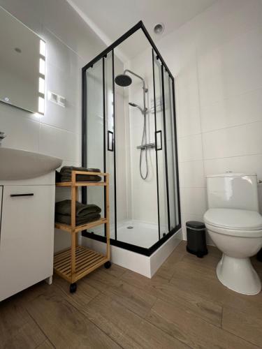 a bathroom with a shower and a toilet at Apartament Szmaragd in Gliwice