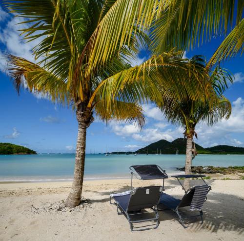 due palme e un tavolo con sedie su una spiaggia di Wild Lotus Villa - Waterfront on Jolly Harbour a Bolans