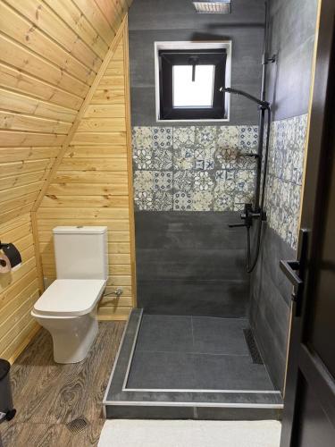a small bathroom with a toilet and a shower at Casa KamArea in Stepantsminda