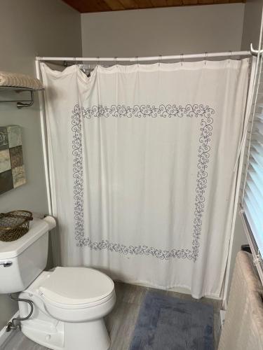 a bathroom with a toilet and a shower curtain at Beech Mountain Swiss-style Chalet in Beech Mountain