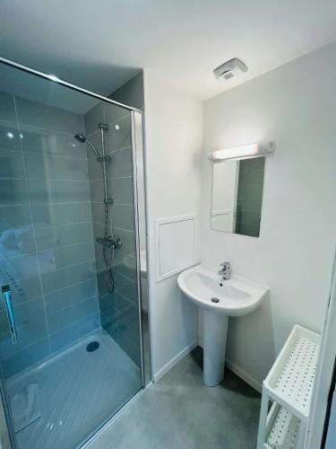 une salle de bain avec une douche en verre et un lavabo dans l'établissement We Live In R - Suite 101, à Reims