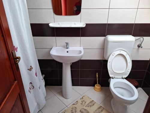 Bilik mandi di Vila Gemenii