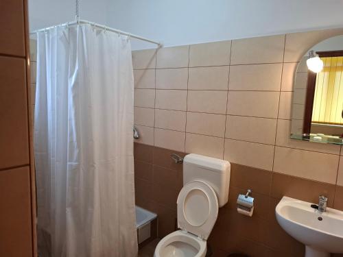 Bilik mandi di Vila Gemenii