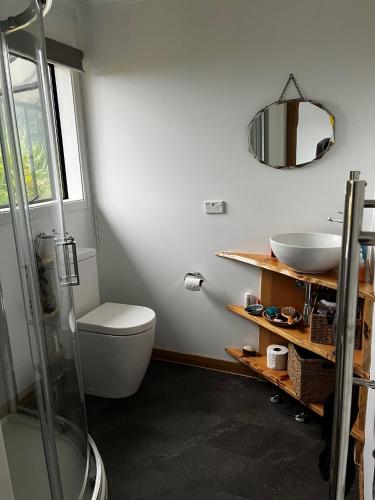 a bathroom with a sink and a toilet and a mirror at Southern Lights Retreat - Main House in Dunedin