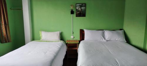 two beds in a room with green walls at Green House Araque Inn in Otavalo