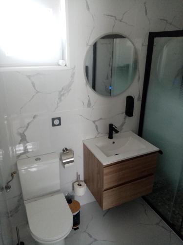 a bathroom with a toilet and a sink and a mirror at Le doux refuge 67 in Schwabwiller