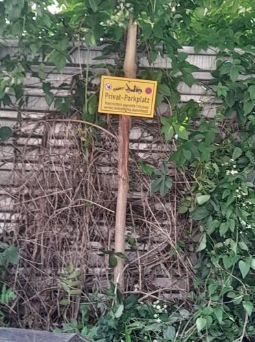 Gambar di galeri bagi Pension NV di Lutherstadt Eisleben