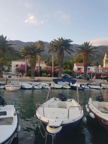 Gallery image of Apartments Rotim in Zaostrog