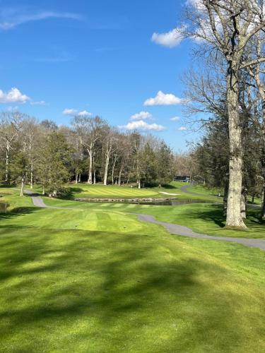a golf course with a tree and a green at Beech Mountain Swiss-style Chalet in Beech Mountain