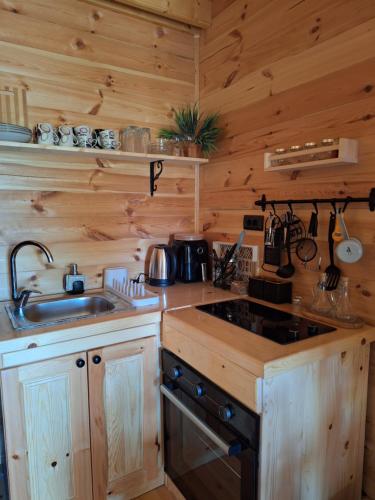 a kitchen with a sink and a stove at Chalets Montenegrina in Žabljak