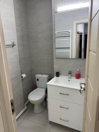 ein Badezimmer mit Toilette, Waschbecken und Spiegel in der Unterkunft Argeş Central in Curtea de Argeş