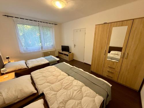 Ένα ή περισσότερα κρεβάτια σε δωμάτιο στο NEW Apartman 3 Nove Zamky
