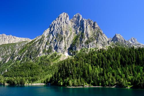 a mountain with a lake and trees in front of it at Rústic de Llavorsí - L'Amfitriona in Llavorsí