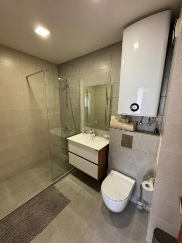 a bathroom with a toilet and a sink and a shower at Apartment Skу in Kavarna