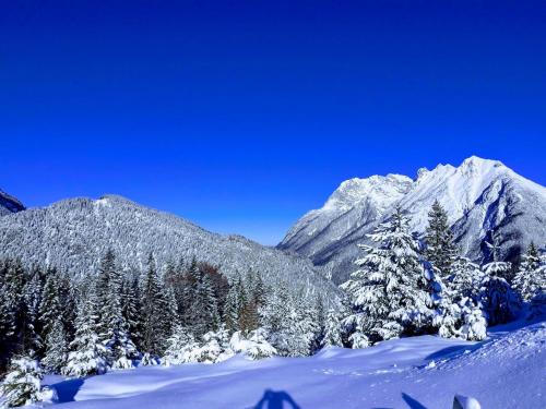 a snowy mountain with trees and snow covered mountains at Ferienhaus Michael in Scharnitz