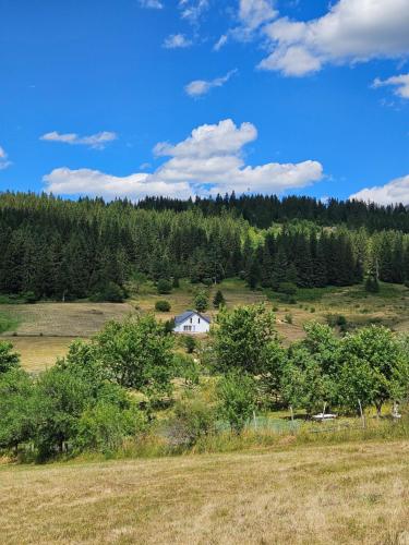 a house in the middle of a field with trees at Villa Maglić Vlašić in Vlasic