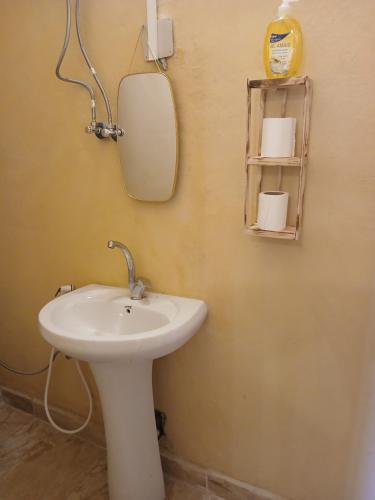 a bathroom with a sink and a mirror at Friends of Dana Hotel in Dana