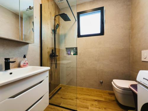 a bathroom with a shower and a toilet and a sink at TaNa's Villa in Donji Štoj