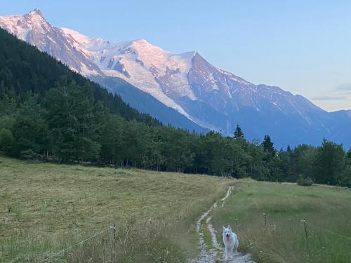 Φυσικό τοπίο κοντά σε αυτό το διαμέρισμα