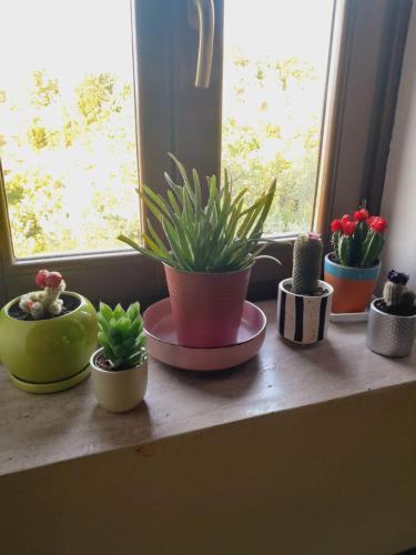 Fotografie z fotogalerie ubytování Villa Mugs v destinaci Tirana