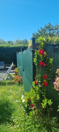 a garden with red flowers and a fence at Apartamentos Les Texuques in Nueva de Llanes
