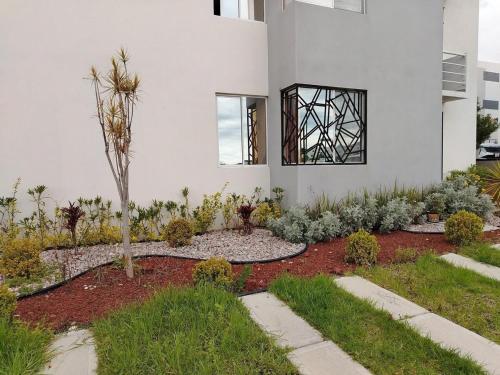 Zahrada ubytování Apartamento con alberca