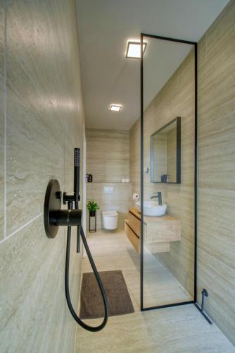 a bathroom with a shower and a toilet and a sink at Villa One in Jastrebarsko