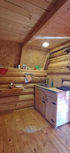 a kitchen in a log cabin with wooden walls at Etno SELO Uskoci in Uskoci