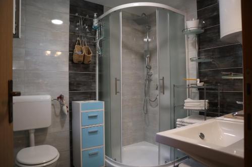 a bathroom with a shower and a toilet and a sink at Kuća za odmor Tina in Gladovec Pokupski