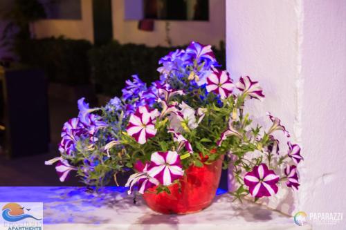 a red vase filled with purple and blue flowers at Chandris Apartments in Kavos