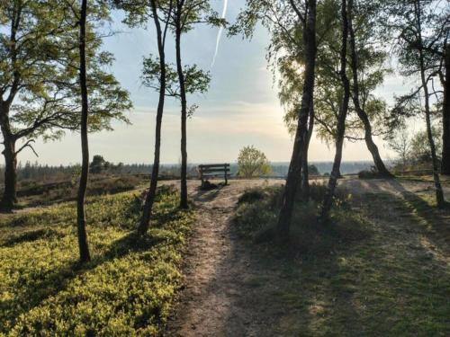a bench in the middle of a field with trees at Holiday Home in Haarle near Sallandse Heuvelrug in Haarle