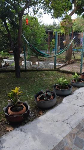 a group of plants in pots in a playground at Hostal Villa Laurita in Riofrío