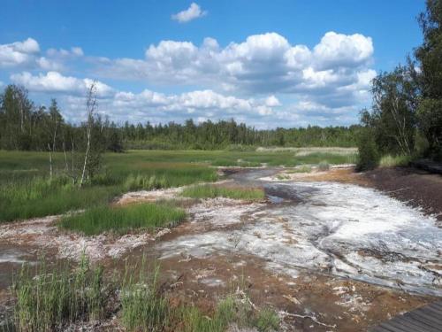 a river with snow on the ground in a field at Chalet in Ore Mountains near Ski Slopes in Jindřichovice