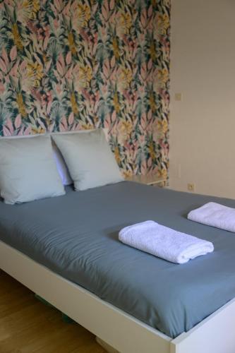 a bed with two pillows on it in a room at Le jungle, hyper centre, balcon et terrasse in Tarbes