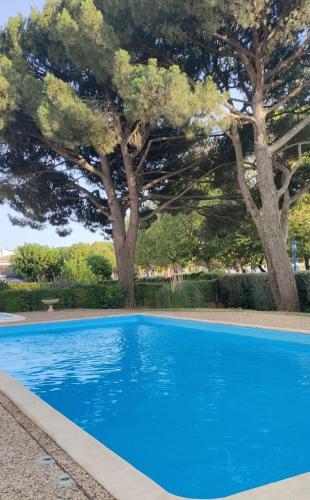 une piscine bleue avec des arbres en arrière-plan dans l'établissement Studio Andernos vue Bassin port ostréicole charmant et lumineux avec piscine et balcon !, à Andernos-les-Bains