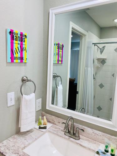 a bathroom with a sink and a mirror at Witte Wonderland - Separate Garage Apartment!! in Kyle