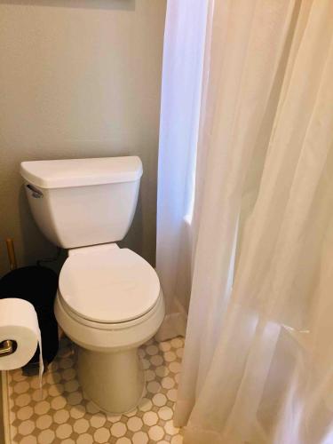 a bathroom with a toilet and a shower curtain at Witte Wonderland - Separate Garage Apartment!! in Kyle