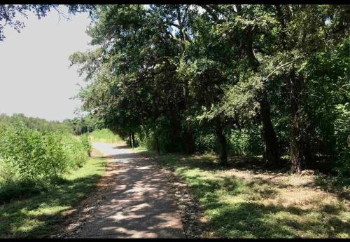 a dirt road with trees on either side at Witte Wonderland - Separate Garage Apartment!! in Kyle