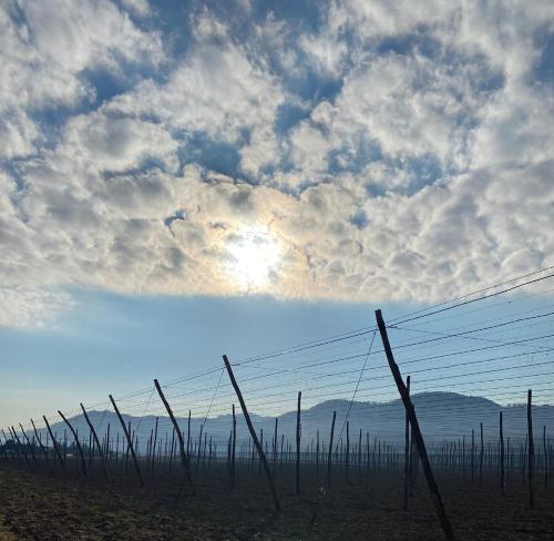 a barbed wire fence under a cloudy sky at Apartment in the Village in Petrovče