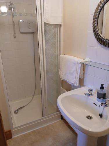 a bathroom with a shower and a sink at Roshine hill in Shanbally