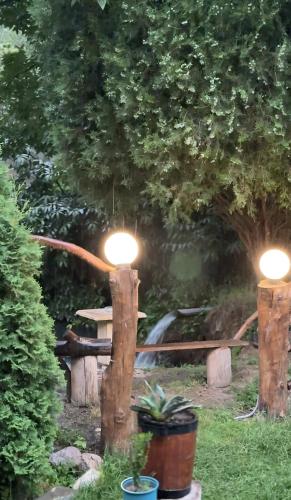 Zahrada ubytování MM Family Resort Ijevan