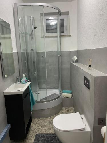 a bathroom with a shower and a toilet and a sink at Am Waldrand in Attendorn